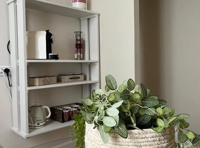 公寓 Maison La Balconata 帕爾馬